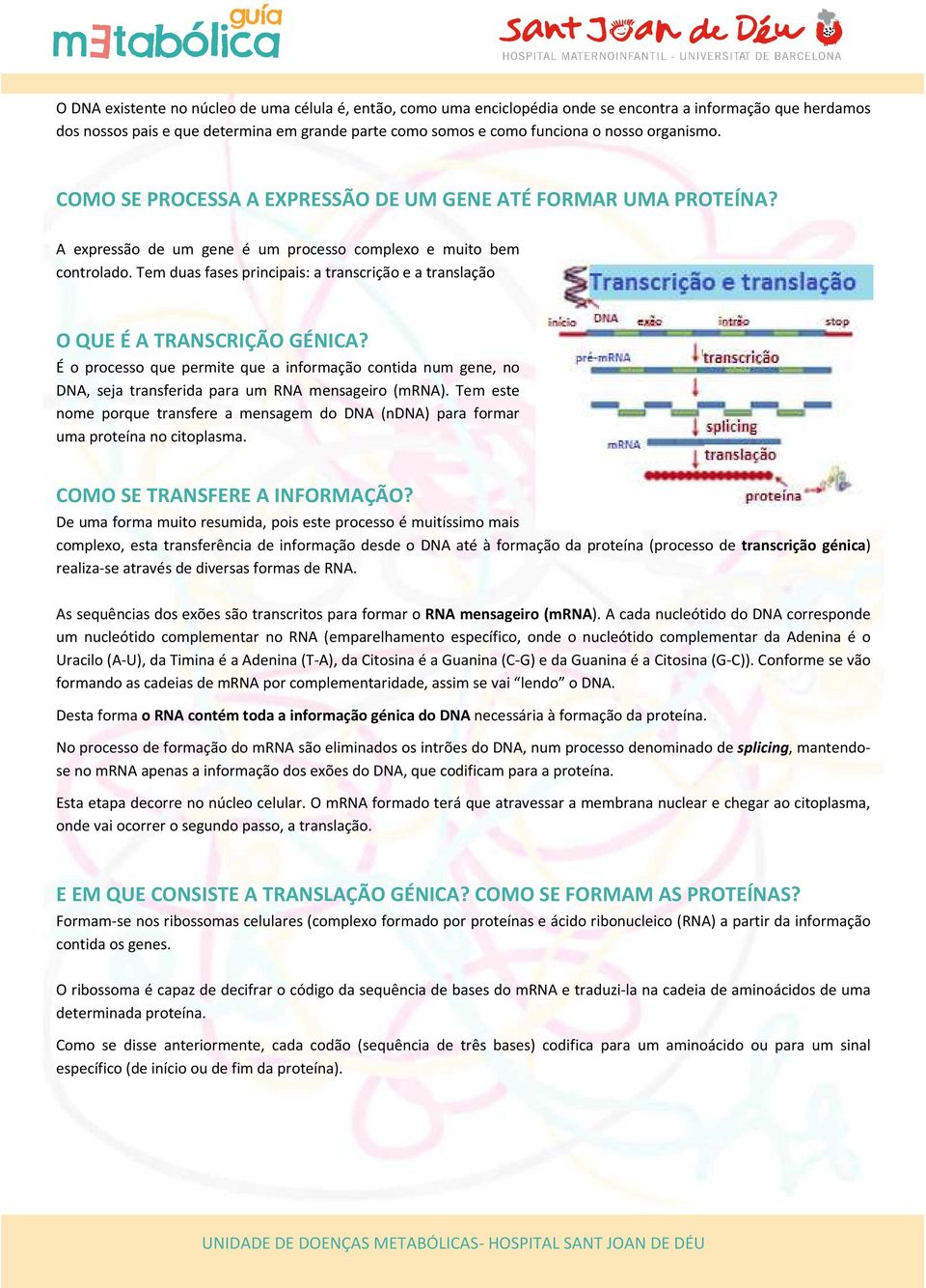 Tem duas fases principais: a transcrição e a translação O QUE É A TRANSCRIÇÃO GÉNICA?