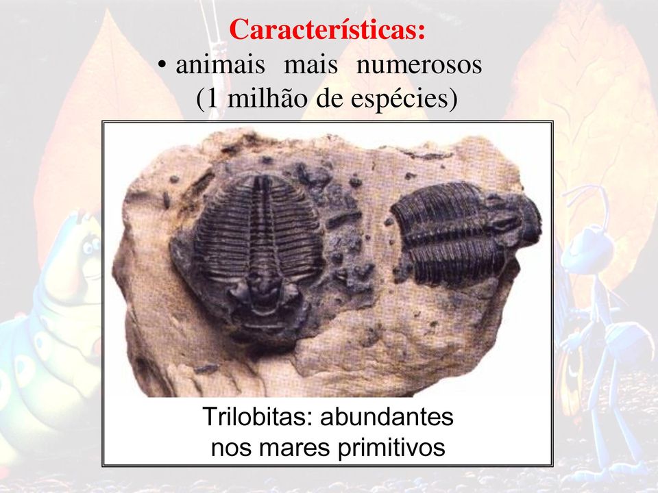 de espécies) Trilobitas: