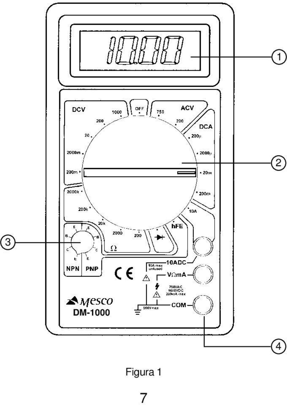 Figura 1