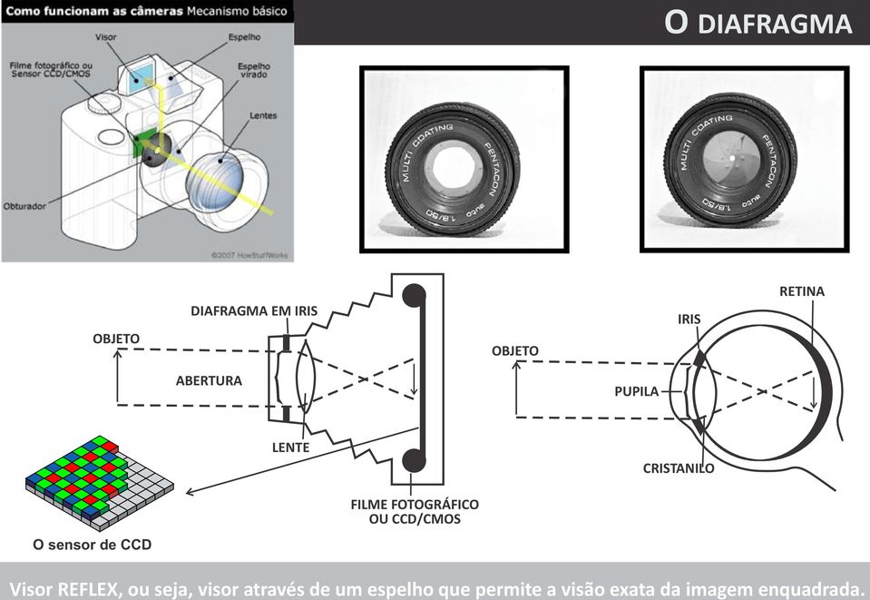 FOTOGRÁFICO OU CCD/CMOS Visor REFLEX, ou seja, visor