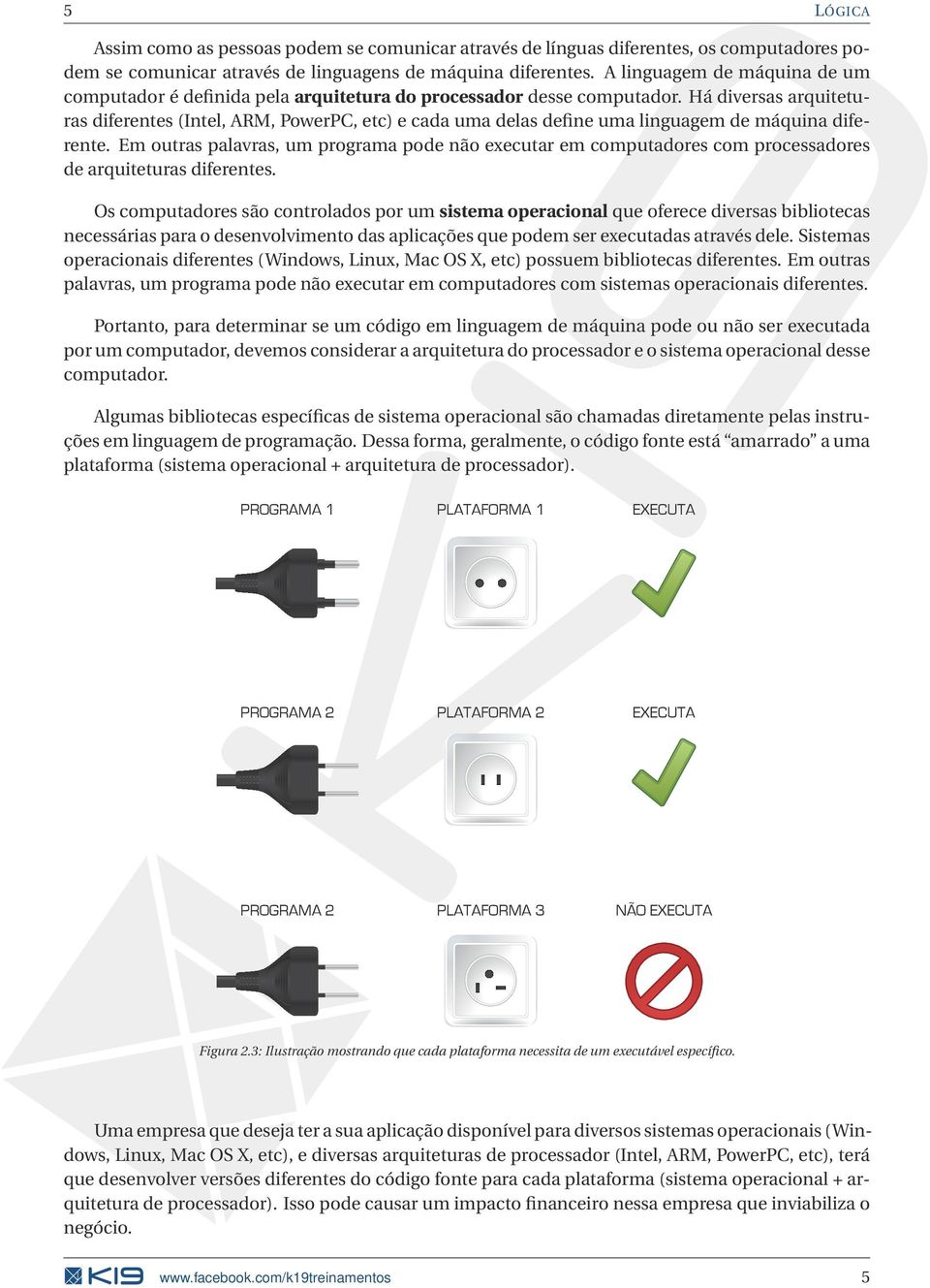 Há diversas arquiteturas diferentes (Intel, ARM, PowerPC, etc) e cada uma delas define uma linguagem de máquina diferente.