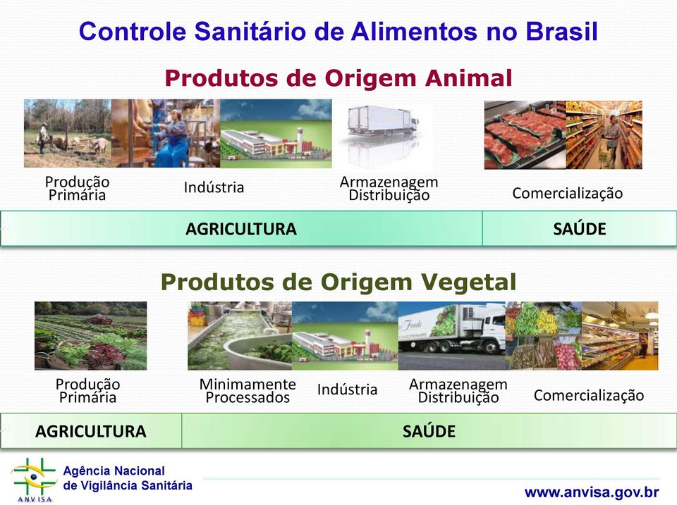 AGRICULTURA SAÚDE Produtos de Origem Vegetal Produção Primária