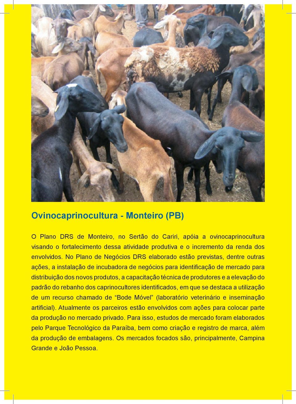 técnica de produtores e a elevação do padrão do rebanho dos caprinocultores identificados, em que se destaca a utilização de um recurso chamado de Bode Móvel (laboratório veterinário e inseminação