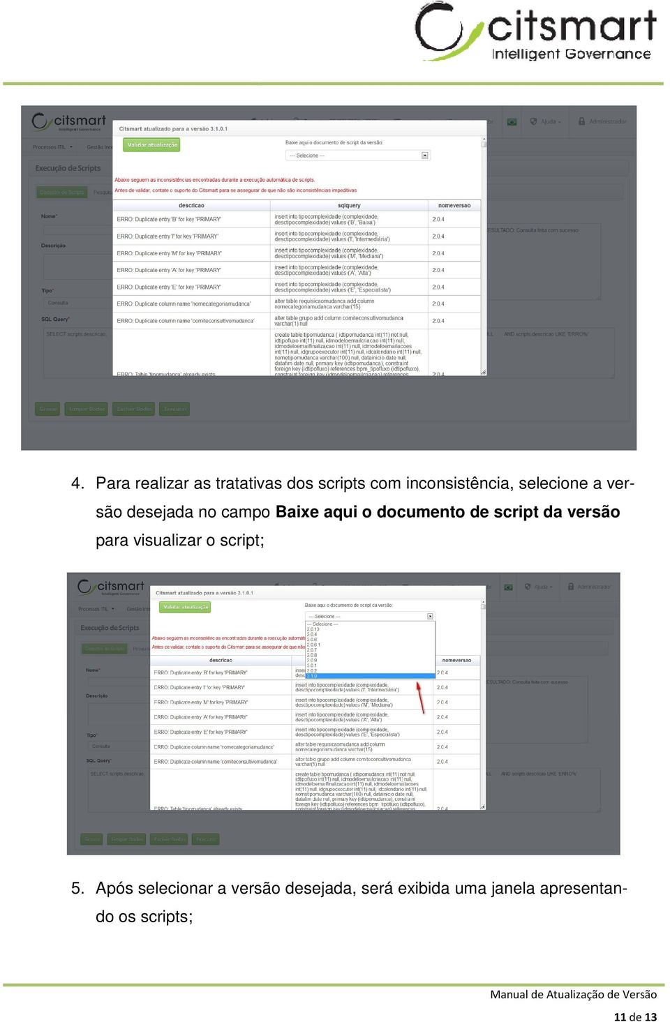 script da versão para visualizar o script; 5.