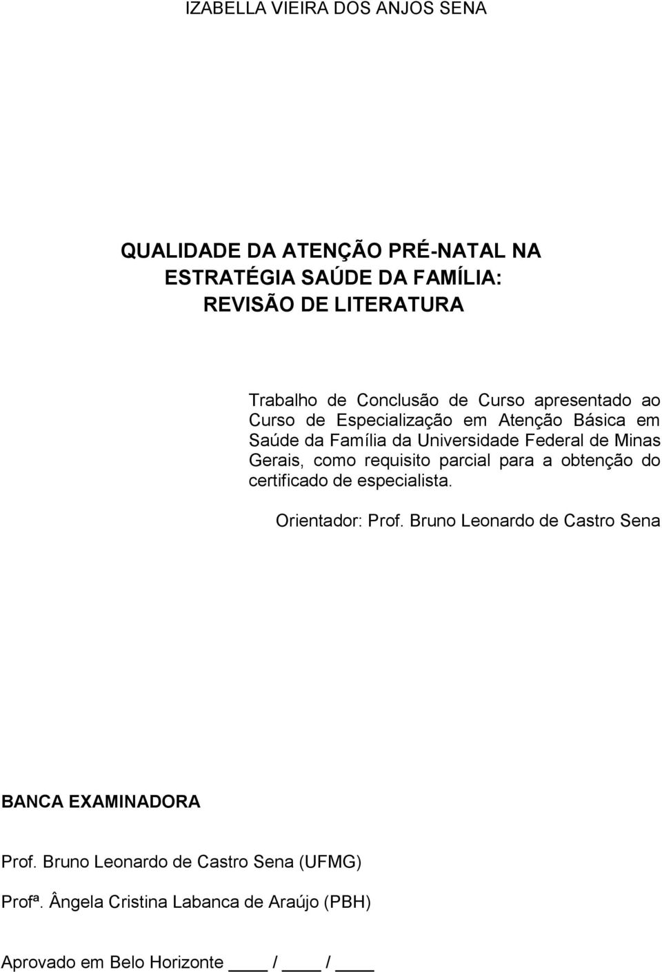 Gerais, como requisito parcial para a obtenção do certificado de especialista. Orientador: Prof.