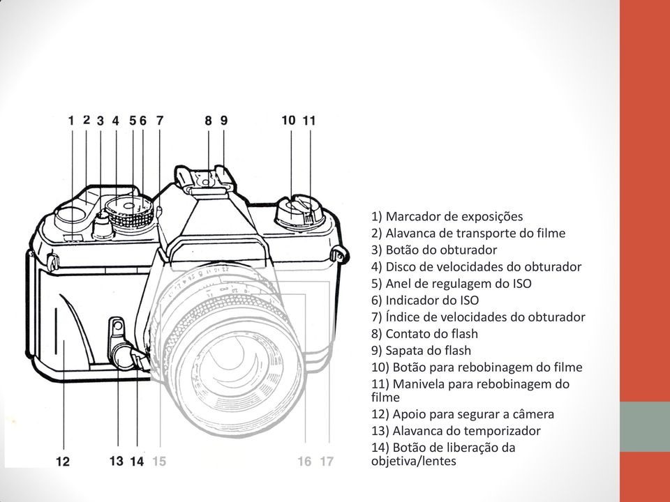 obturador 8) Contato do flash 9) Sapata do flash 10) Botão para rebobinagem do filme 11) Manivela para