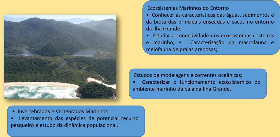 praias arenosas; Estudos de modelagens e correntes oceânicas; Caracterizar o funcionamento ecossistêmico do ambiente marinho da baía
