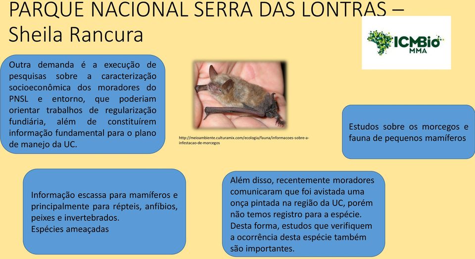 com/ecologia/fauna/informacoes-sobre-ainfestacao-de-morcegos Estudos sobre os morcegos e fauna de pequenos mamíferos Informação escassa para mamíferos e principalmente para répteis, anfíbios,