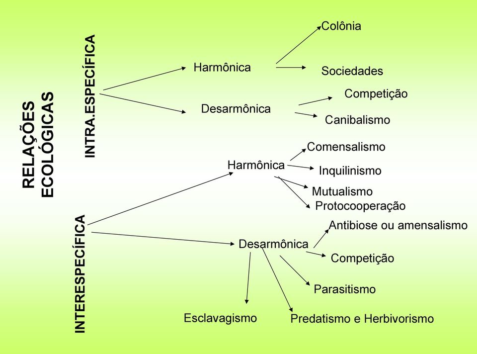 Canibalismo Harmônica Desarmônica Comensalismo Inquilinismo