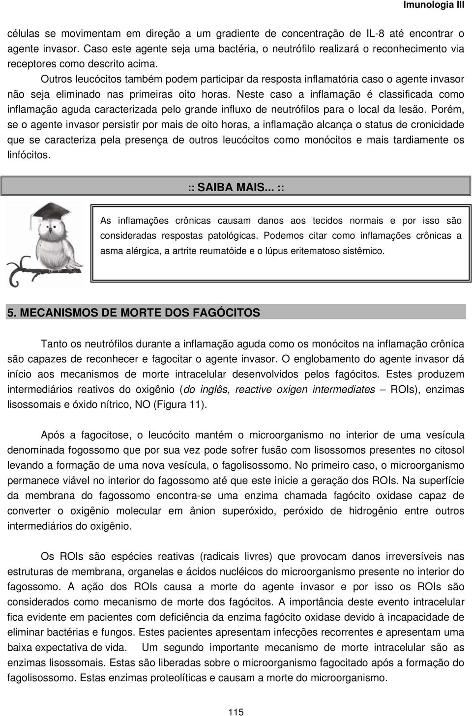 Outros leucócitos também podem participar da resposta inflamatória caso o agente invasor não seja eliminado nas primeiras oito horas.