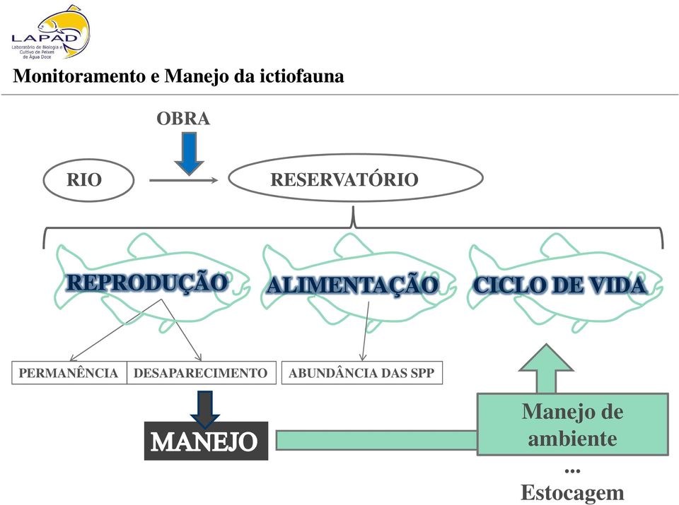 CICLO DE VIDA PERMANÊNCIA DESAPARECIMENTO