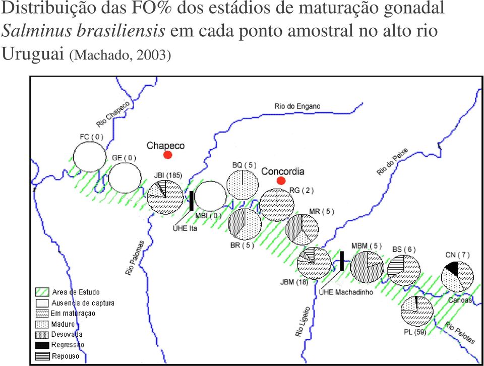 brasiliensis em cada ponto