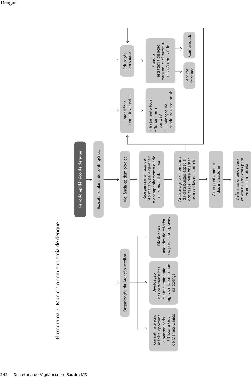 epidemiológicas e laboratoriais da doença Divulgar as unidades de referência para casos graves Período epidêmico de dengue Executar o plano de contingência Vigilância epidemiológica Reorganizar o