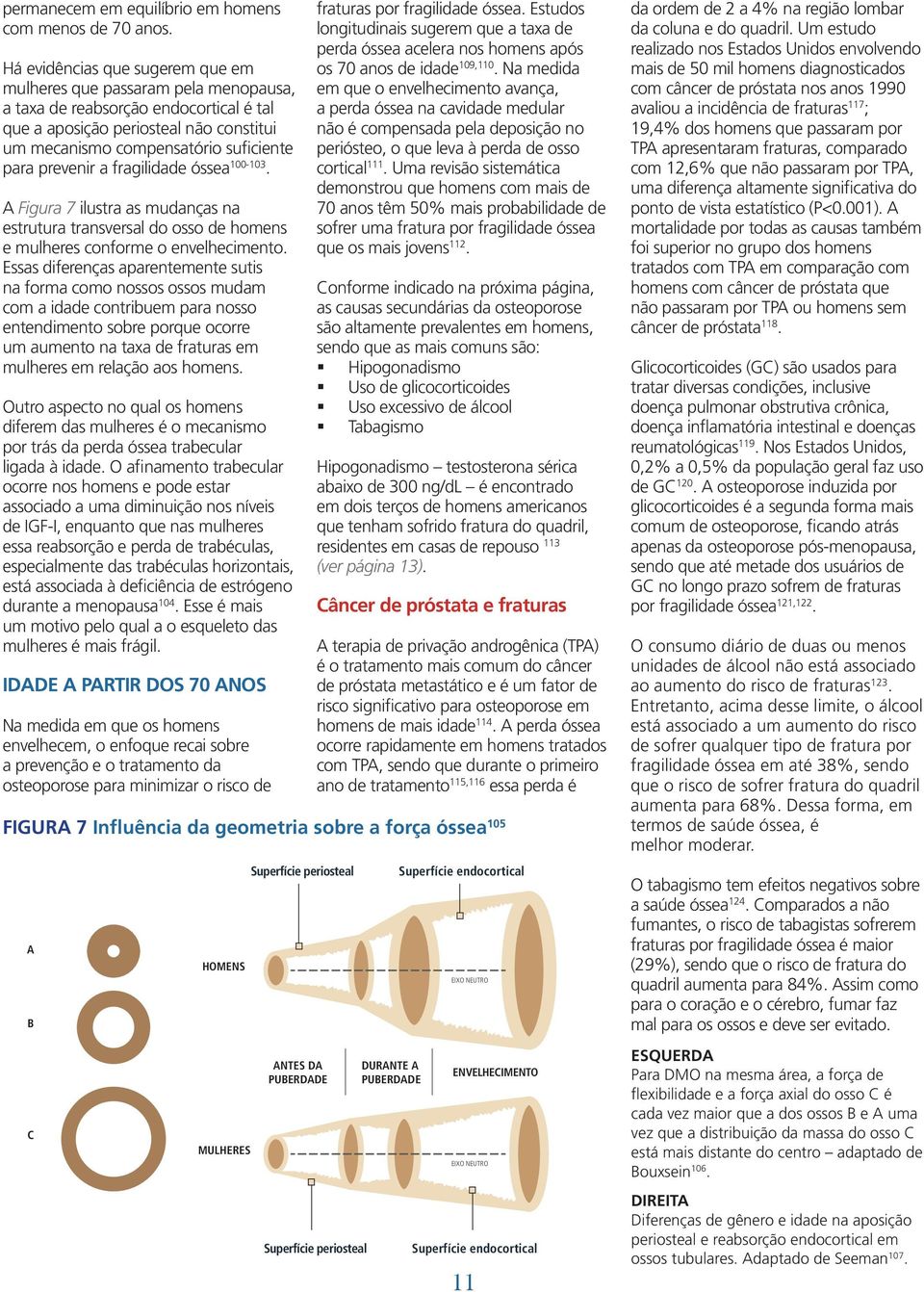 prevenir a fragilidade óssea 100-103. A Figura 7 ilustra as mudanças na estrutura transversal do osso de homens e mulheres conforme o envelhecimento.