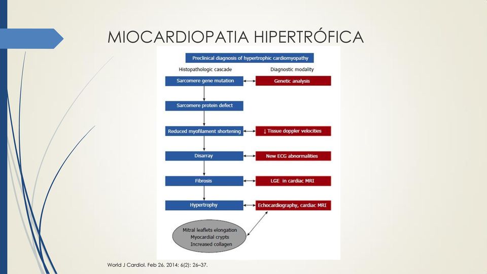 World J Cardiol.