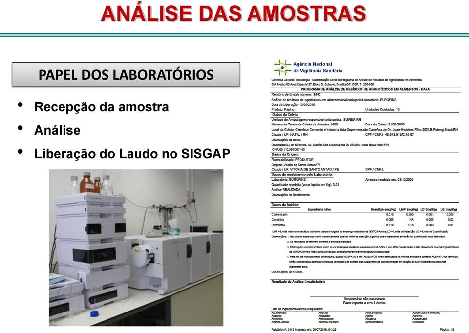 Recepção da amostra