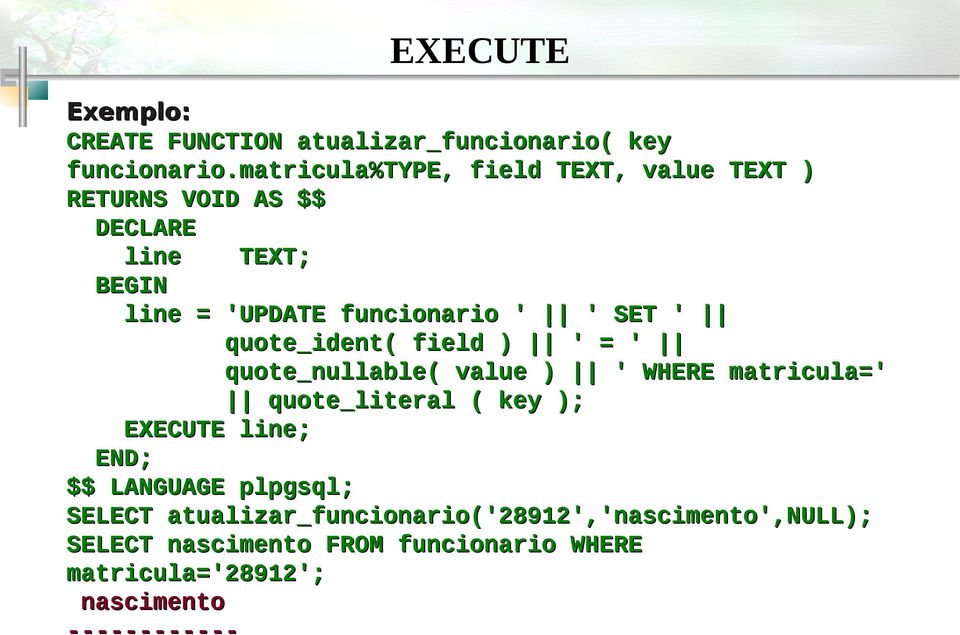 SET ' quote_ident( field ) ' = ' quote_nullable( value ) ' WHERE matricula=' quote_literal ( key ); EXECUTE line;