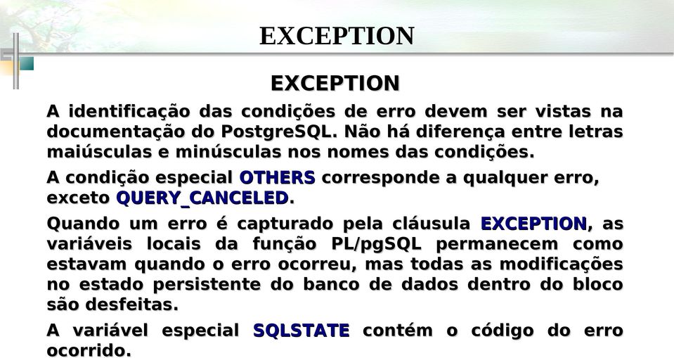 A condição especial OTHERS corresponde a qualquer erro, exceto QUERY_CANCELED.
