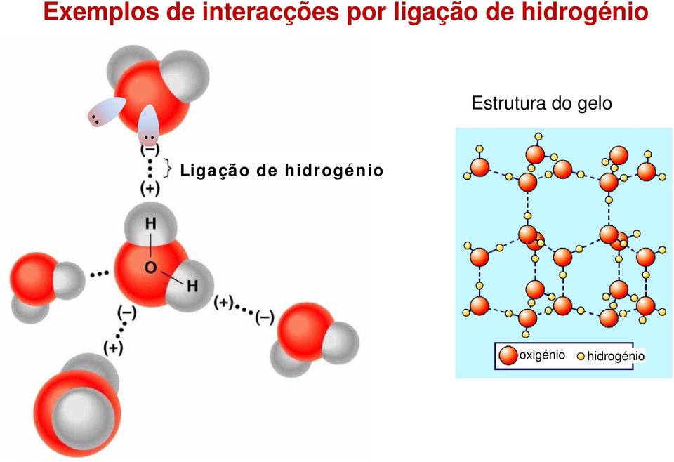 Estrutura do gelo.