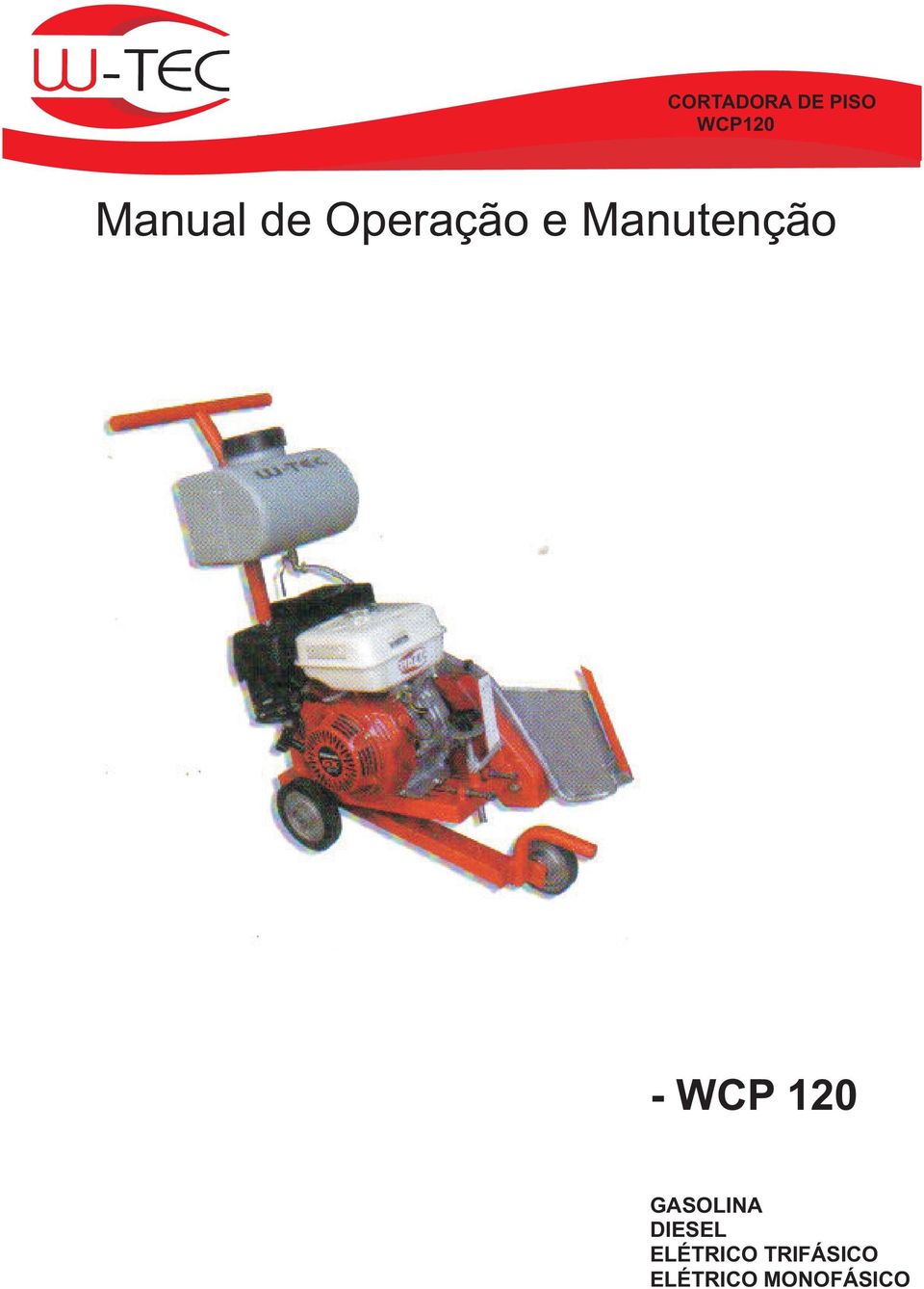 Manutenção - WCP 20 GASOLINA