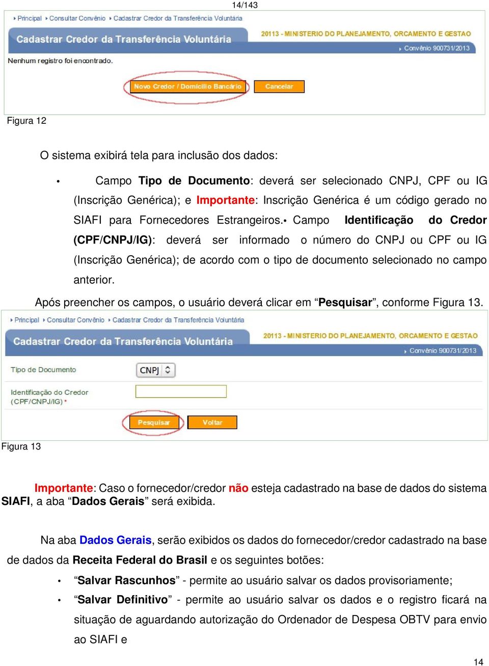 Campo Identificação do Credor (CPF/CNPJ/IG): deverá ser informado o número do CNPJ ou CPF ou IG (Inscrição Genérica); de acordo com o tipo de documento selecionado no campo anterior.