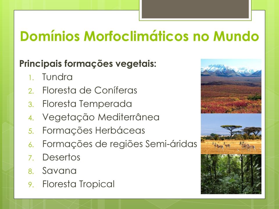 Vegetação Mediterrânea 5. Formações Herbáceas 6.