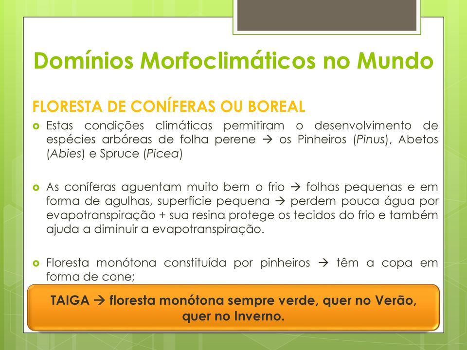 superfície pequena perdem pouca água por evapotranspiração + sua resina protege os tecidos do frio e também ajuda a diminuir a