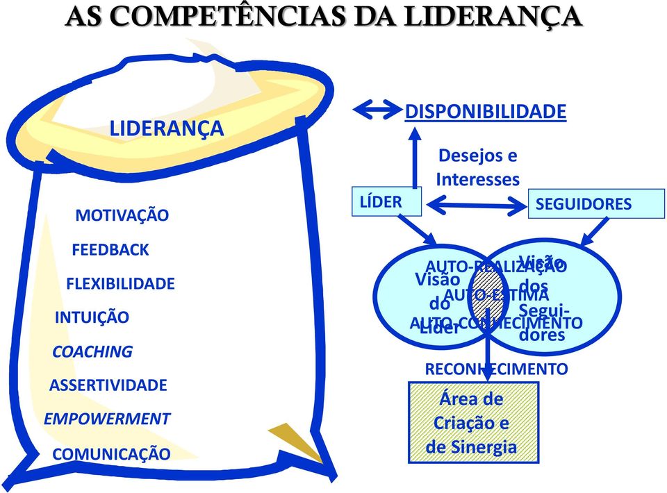 EMPOWERMENT COMUNICAÇÃO Visão do Líder Área de Criação e de Sinergia