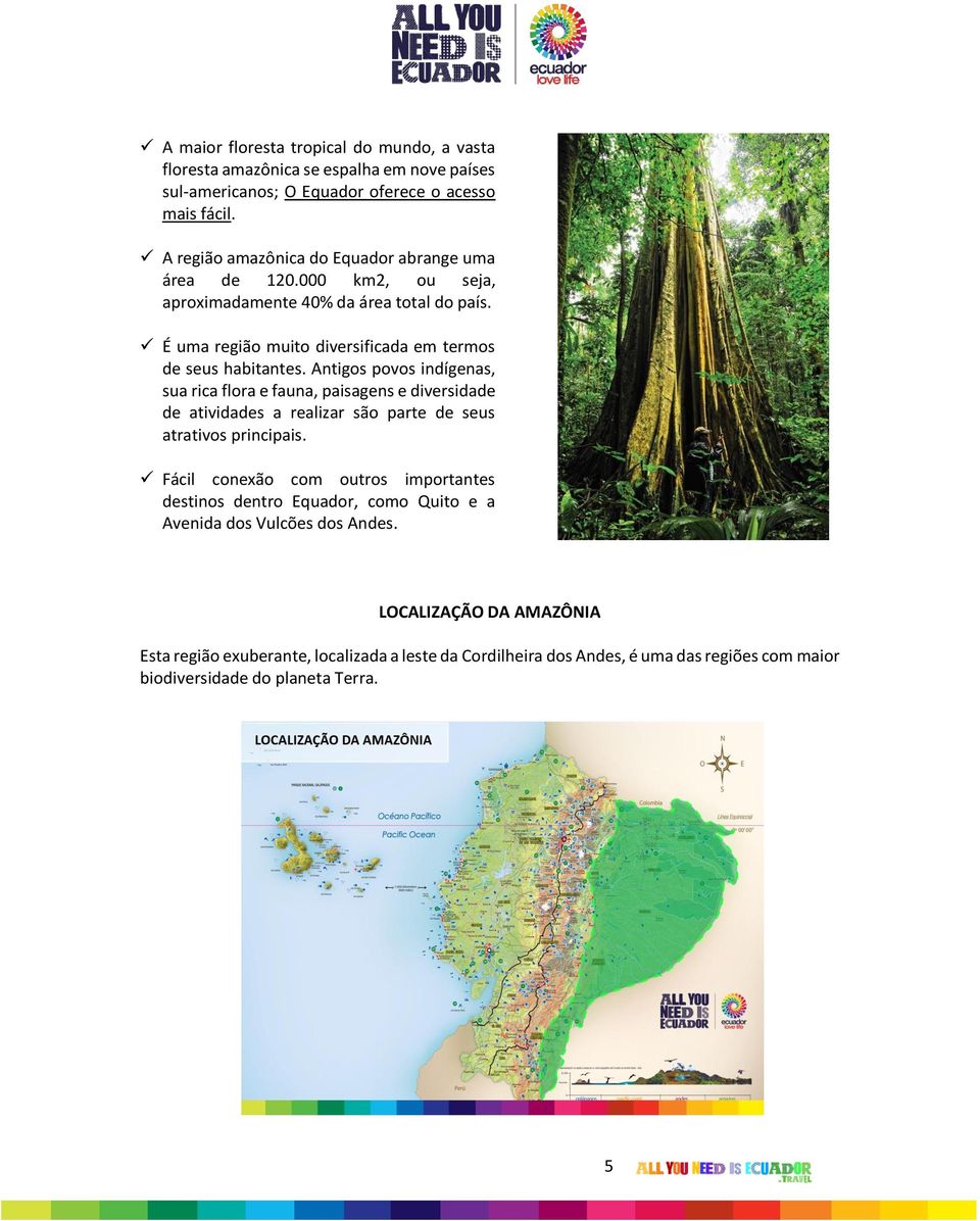 Antigos povos indígenas, sua rica flora e fauna, paisagens e diversidade de atividades a realizar são parte de seus atrativos principais.