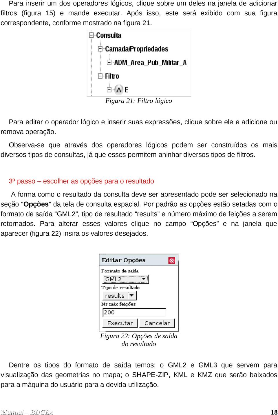 Figura 21: Filtro lógico Para editar o operador lógico e inserir suas expressões, clique sobre ele e adicione ou remova operação.