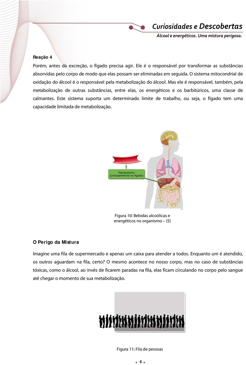 Mas ele é responsável, também, pela metabolização de outras substâncias, entre elas, os energéticos e os barbitúricos, uma classe de calmantes.