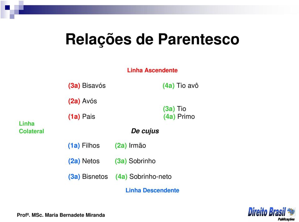 Primo De cujus (1a) Filhos (2a) Irmão (2a) Netos (3a)