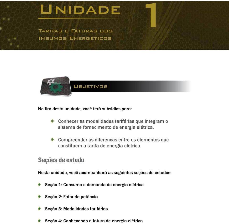 Compreender as diferenças entre os elementos que constituem a tarifa de energia elétrica.