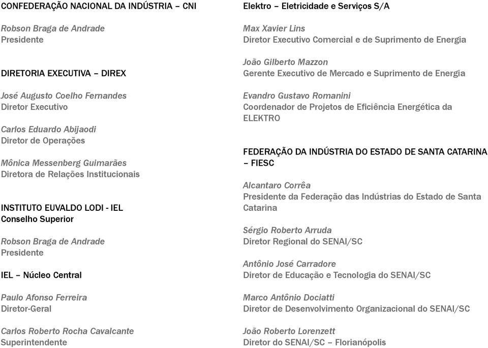 Carlos Roberto Rocha Cavalcante Superintendente Elektro Eletricidade e Serviços S/A Max Xavier Lins Diretor Executivo Comercial e de Suprimento de Energia João Gilberto Mazzon Gerente Executivo de