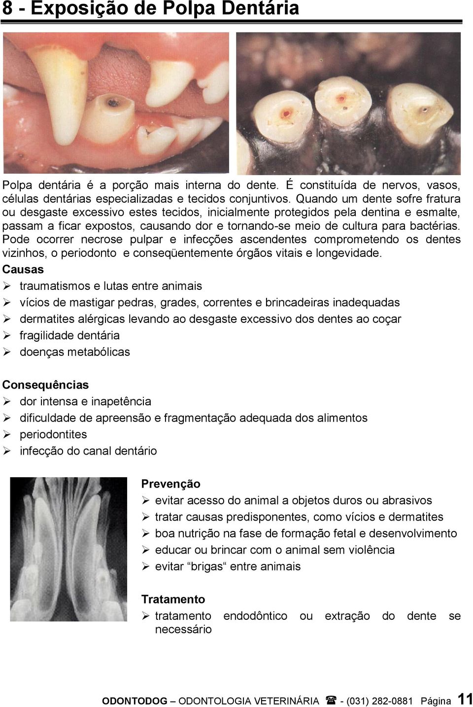 Pode ocorrer necrose pulpar e infecções ascendentes comprometendo os dentes vizinhos, o periodonto e conseqüentemente órgãos vitais e longevidade.