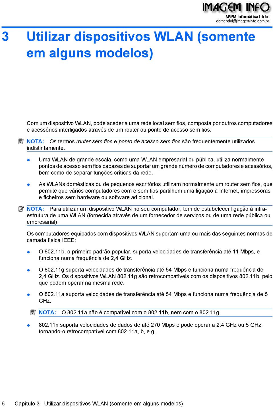 Uma WLAN de grande escala, como uma WLAN empresarial ou pública, utiliza normalmente pontos de acesso sem fios capazes de suportar um grande número de computadores e acessórios, bem como de separar