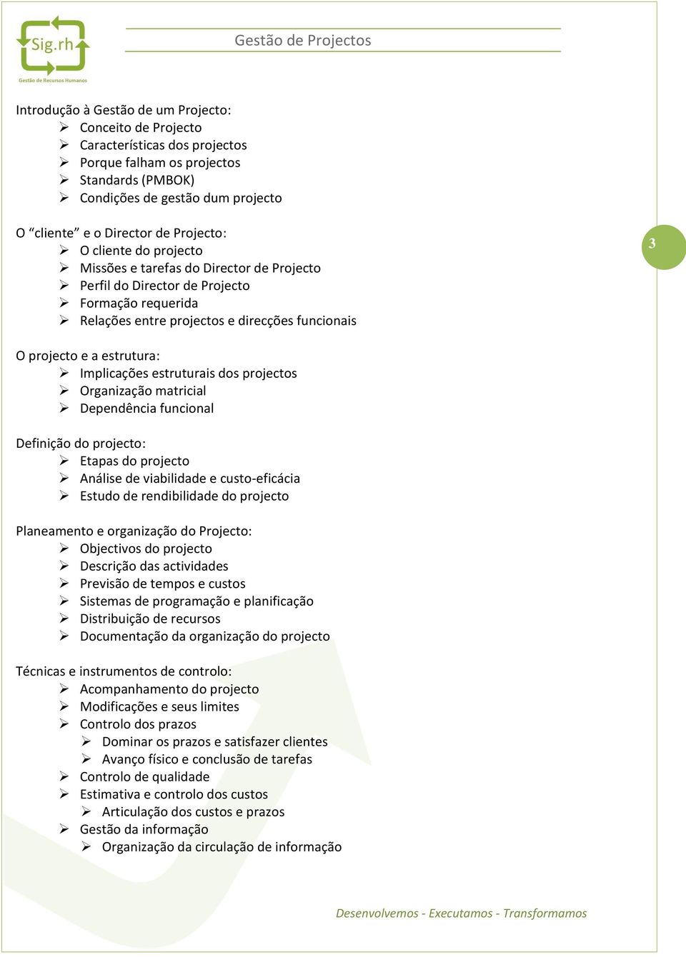 Implicações estruturais dos projectos Organização matricial Dependência funcional Definição do projecto: Etapas do projecto Análise de viabilidade e custo-eficácia Estudo de rendibilidade do projecto