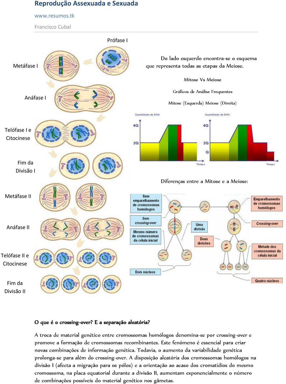 Telófase II e Citocinese Fim da Divisão II O que é o crossing-over? E a separação aleatória?