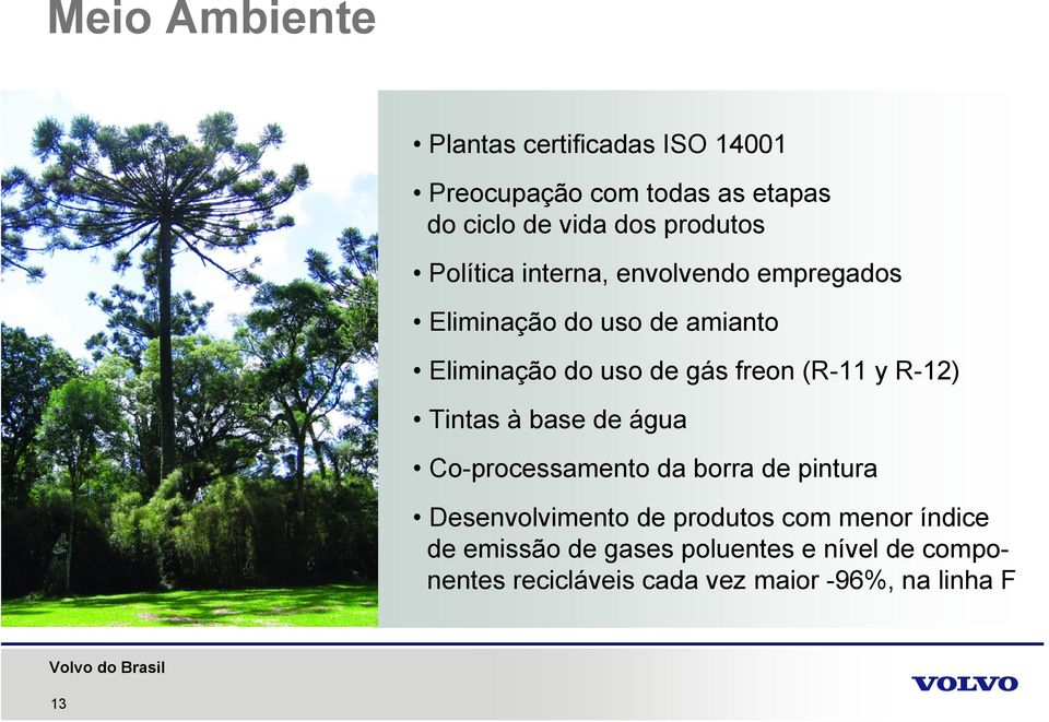 freon (R-11 y R-12) Tintas à base de água Co-processamento da borra de pintura Desenvolvimento de