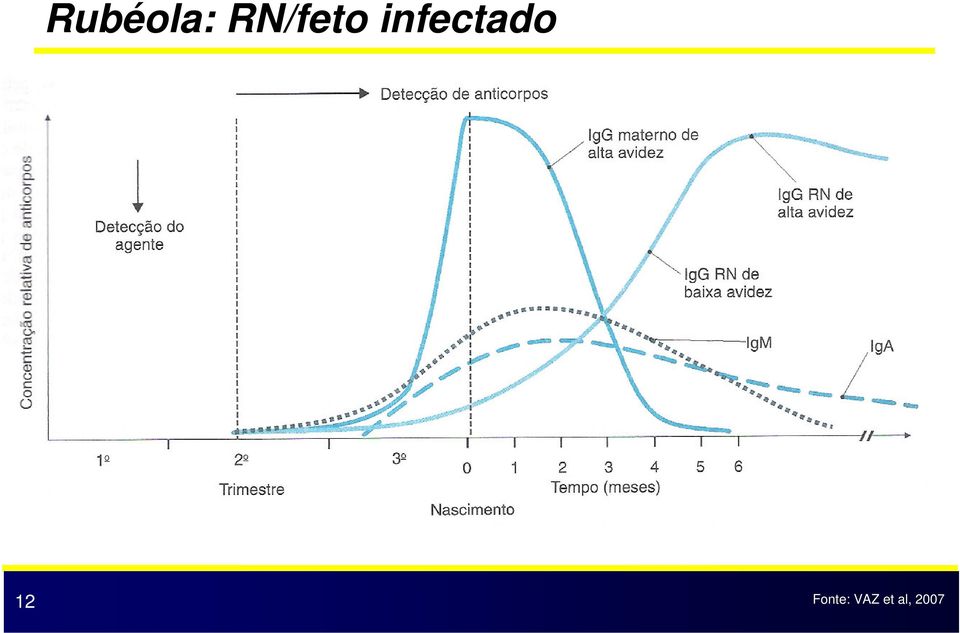 infectado 12