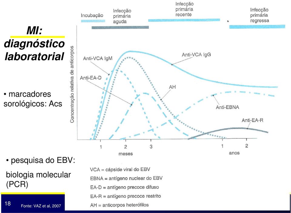 pesquisa do EBV: biologia