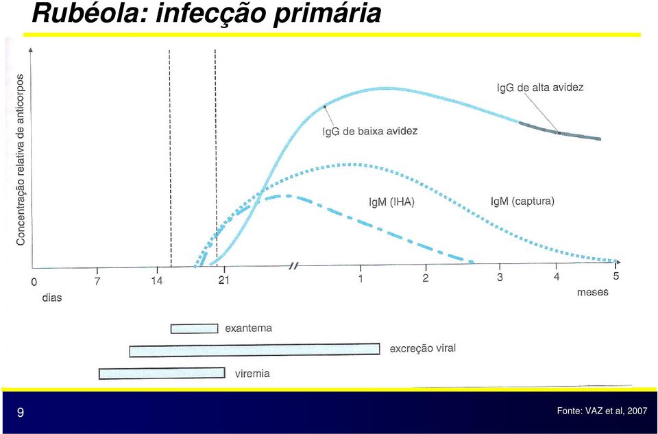 primária 9