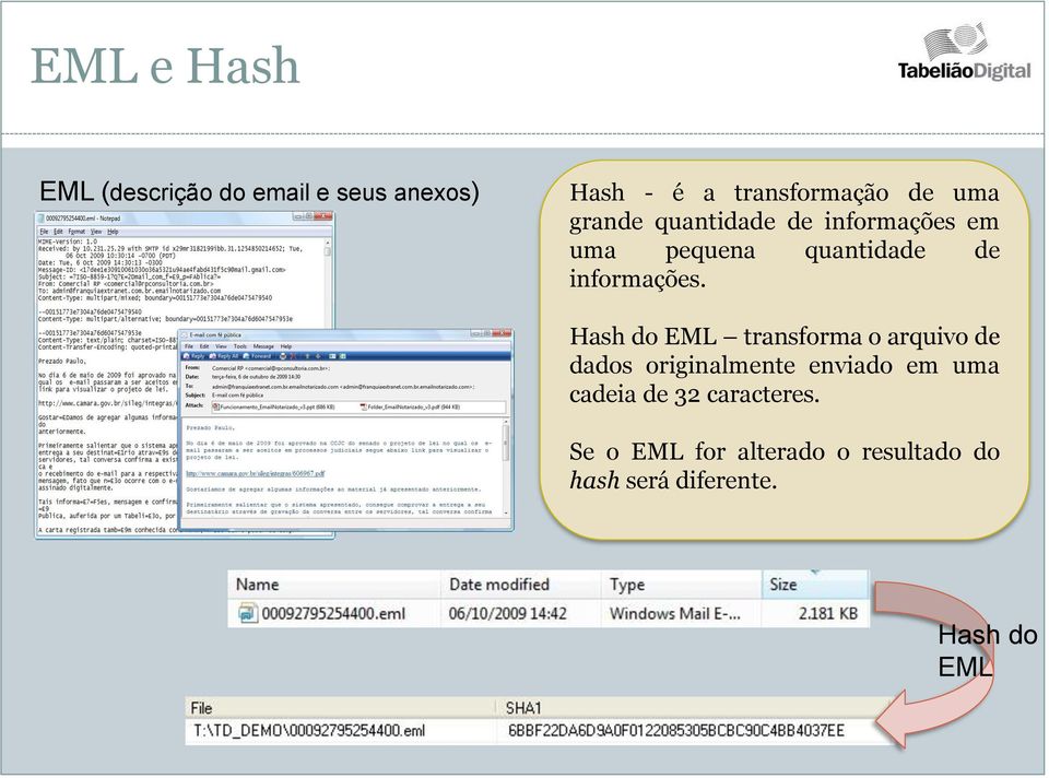 Hash do EML transforma o arquivo de dados originalmente enviado em uma cadeia de