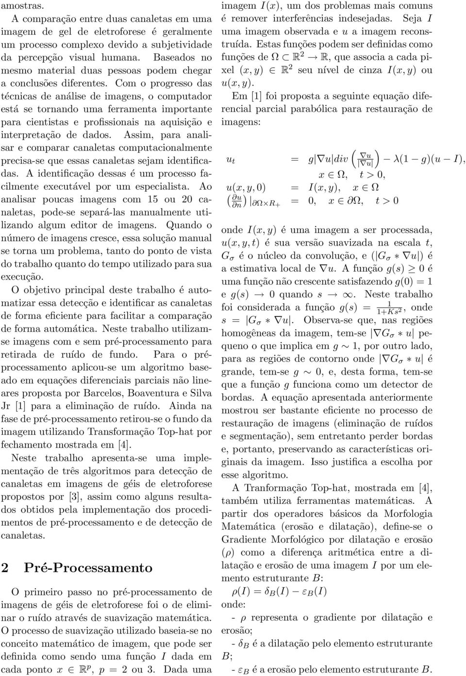 Com o progresso das técnicas de análise de imagens, o computador está se tornando uma ferramenta importante para cientistas e profissionais na aquisição e interpretação de dados.