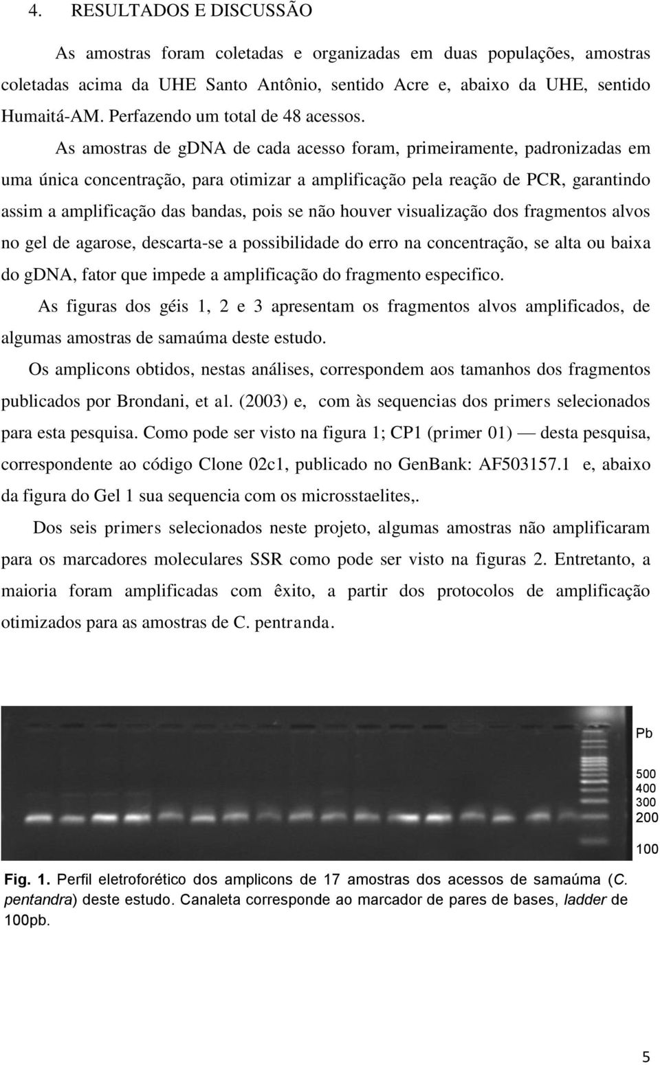 As amostras de gdna de cada acesso foram, primeiramente, padronizadas em uma única concentração, para otimizar a amplificação pela reação de PCR, garantindo assim a amplificação das bandas, pois se