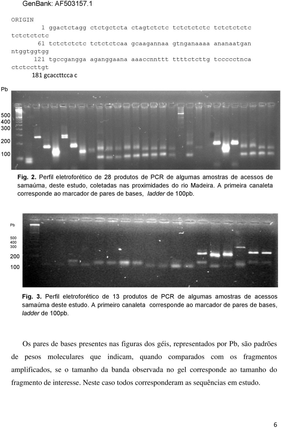 tccccctnca ctctccttgt 181 gcaccttcca c Pb 500 400 300 200 100 Fig. 2. Perfil eletroforético de 28 produtos de PCR de algumas amostras de acessos de samaúma, deste estudo, coletadas nas proximidades do rio Madeira.