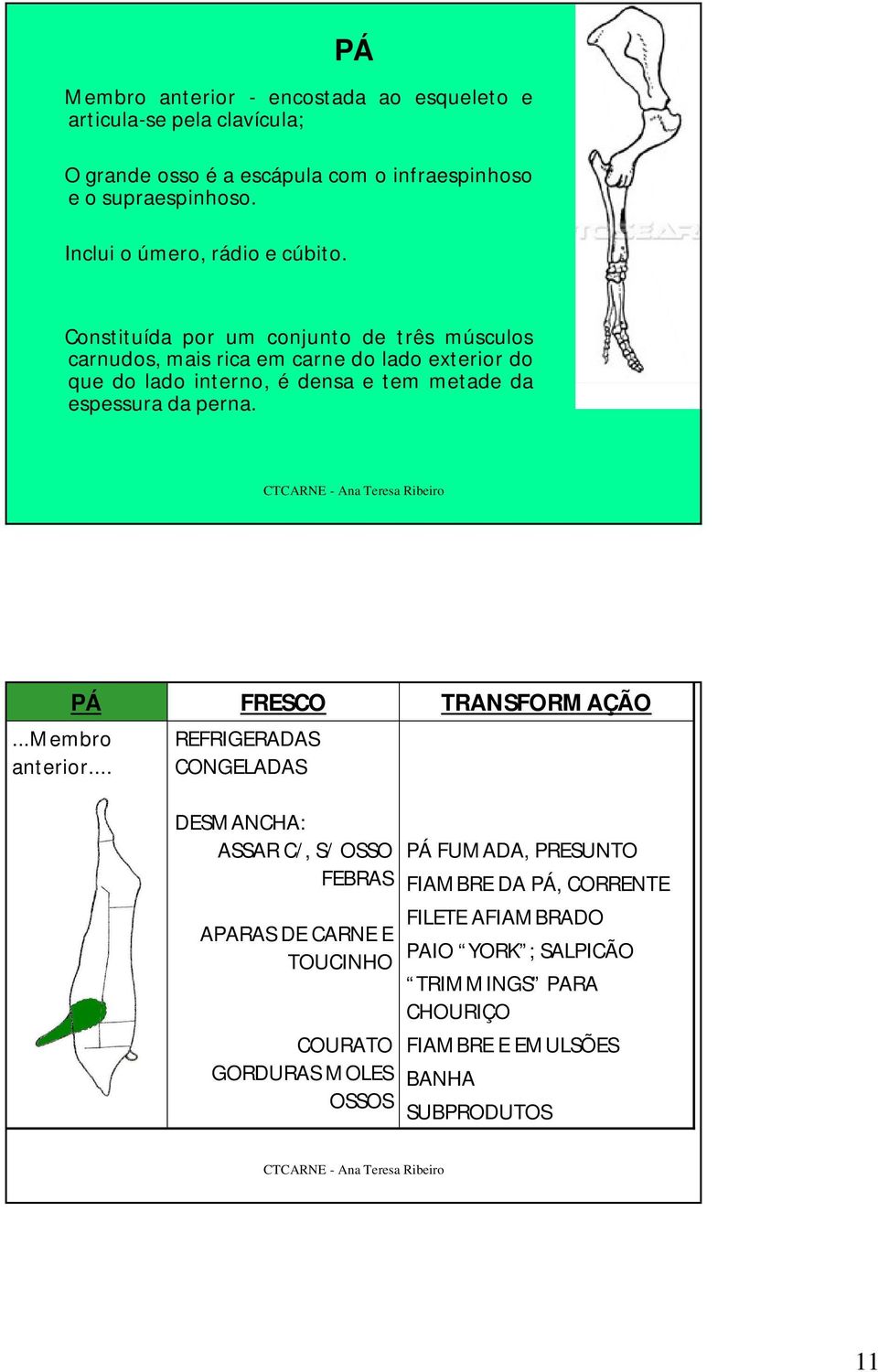 Constituída por um conjunto de três músculos carnudos, mais rica em carne do lado exterior do que do lado interno, é densa e tem metade da espessura da