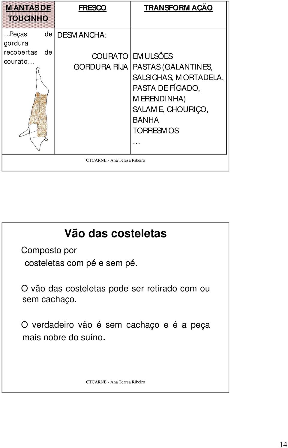 CHOURIÇO, BANHA TORRESMOS Composto por Vão das costeletas costeletas com pé e sem pé.