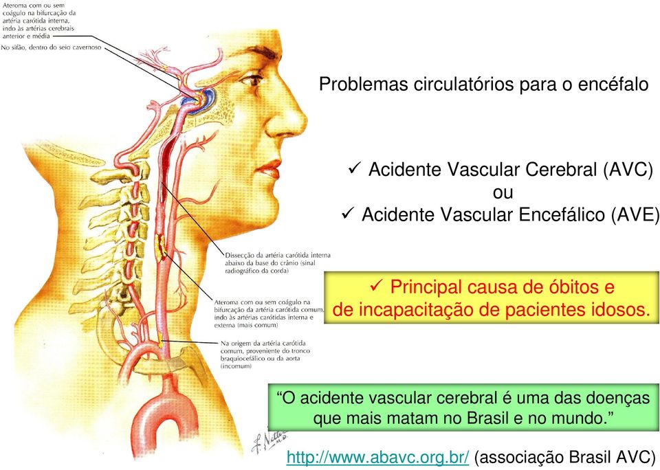 incapacitação de pacientes idosos.