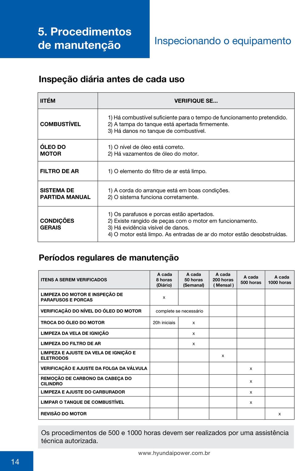 Filtro de ar 1) O elemento do filtro de ar está limpo. Sistema de partida manual 1) A corda do arranque está em boas condições. 2) O sistema funciona corretamente.